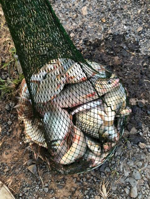 Hàng đóng gói cẩn thận, giao hàng nhanh, chưa dùng nên chưa biết tn