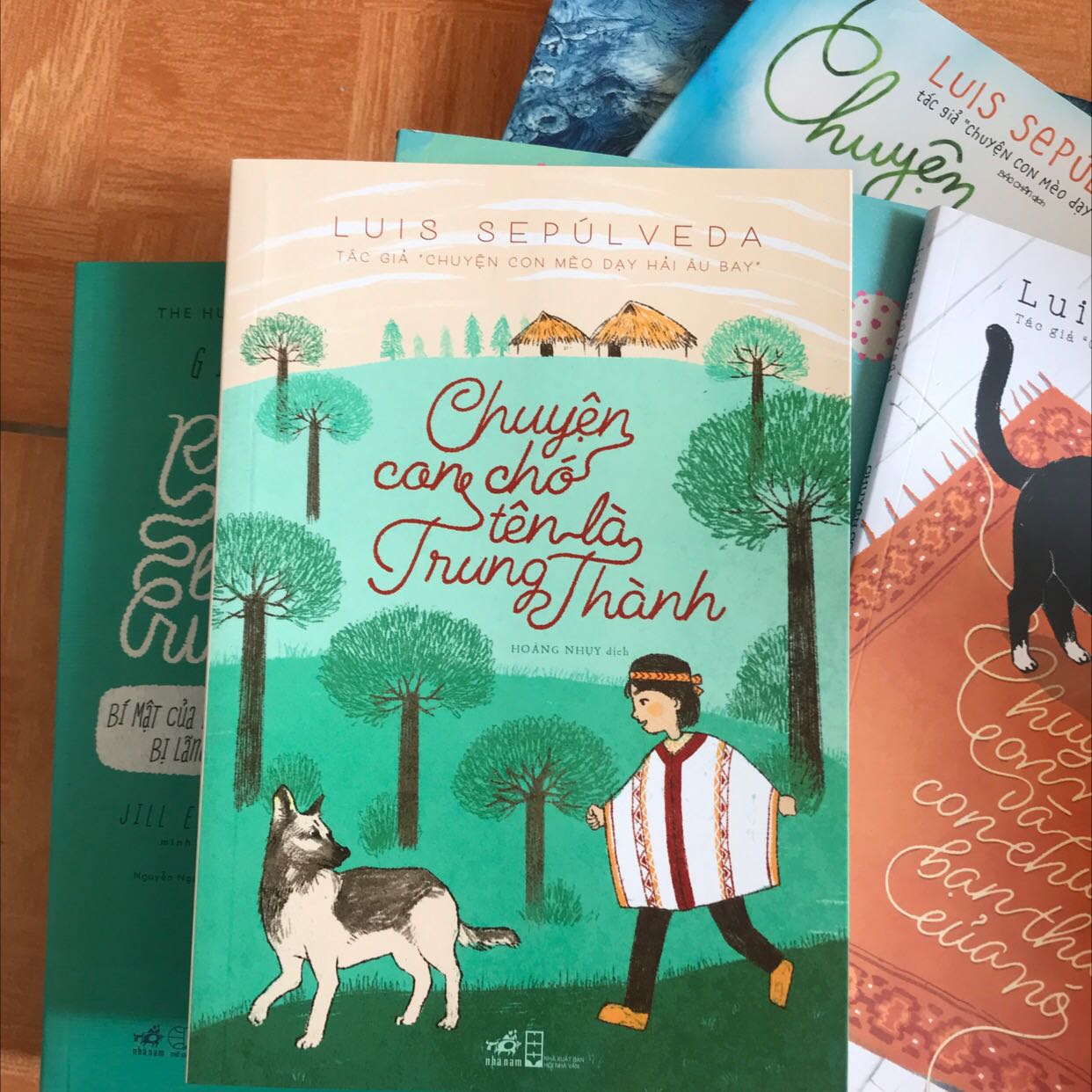 Mình luôn đánh giá cao về tốc độ giao hàng của tiki, nhưng mà tốc độ giao hàng nhanh lại đi kèm với đóng hàng cẩu thả thì thôi không cần đâu nhá. Gói hàng của mình có 8 quyển sách, 2 đồ khuyến mại được ném tùy tiện vào trong 1 cái hộp, không có bọc chống sốc. Hộp hàng giao tới tay mình thì bị thủng 1 lỗ to, không biết là do quá trình vận chuyển bị va đập hay có người cố tình cạy ra (đơn giá trị cao lại được thanh toán trước rồi nên muốn tráo hàng hay gì??). 1 trong 2 món hàng khuyến mại thì không thấy đâu, không biết là do bị rơi từ cái lỗ kia hay là đóng thiếu hàng nữa. Tóm lại là lần đặt hàng này tại tiki khiến mình rất thất vọng.