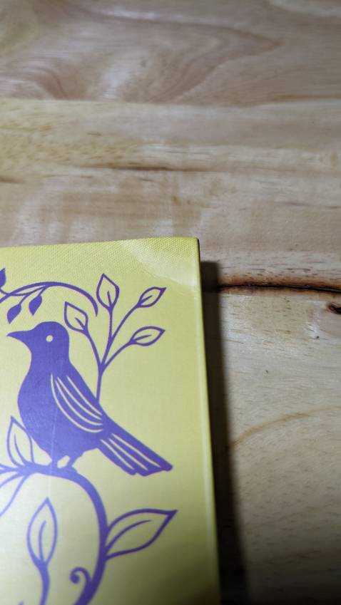 Khi nhận hàng sách không được bỏ vào hộp mà chỉ được gói với giấy xốp. Sách bị cong và gãy, nhìn rất khó chịu. Không biết là do sản phẩm hay do khâu vận chuyển, đóng gói. Tệ thật sự. Chán thiệt.