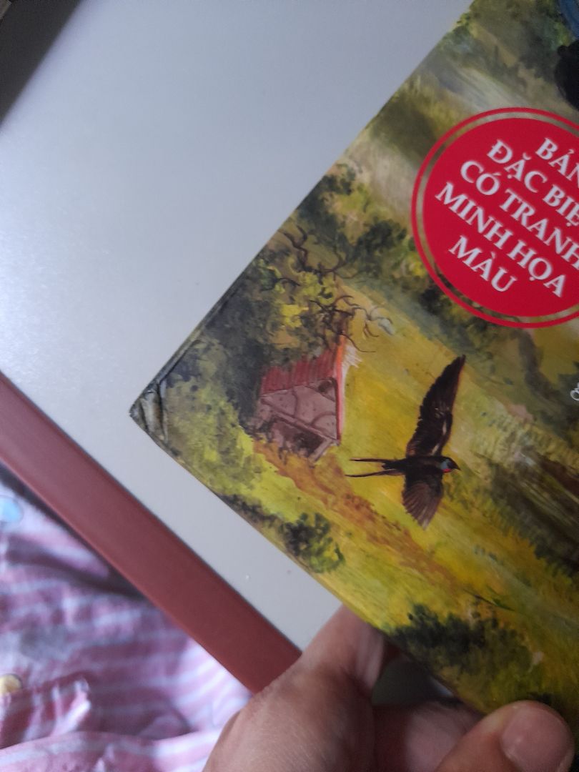 Lần nào tới tay là cái hộp cũng y vậy, sách chứ có phải là gì đâu mà không có cái gì chống sốc hết có được miếng bìa có cũng như không