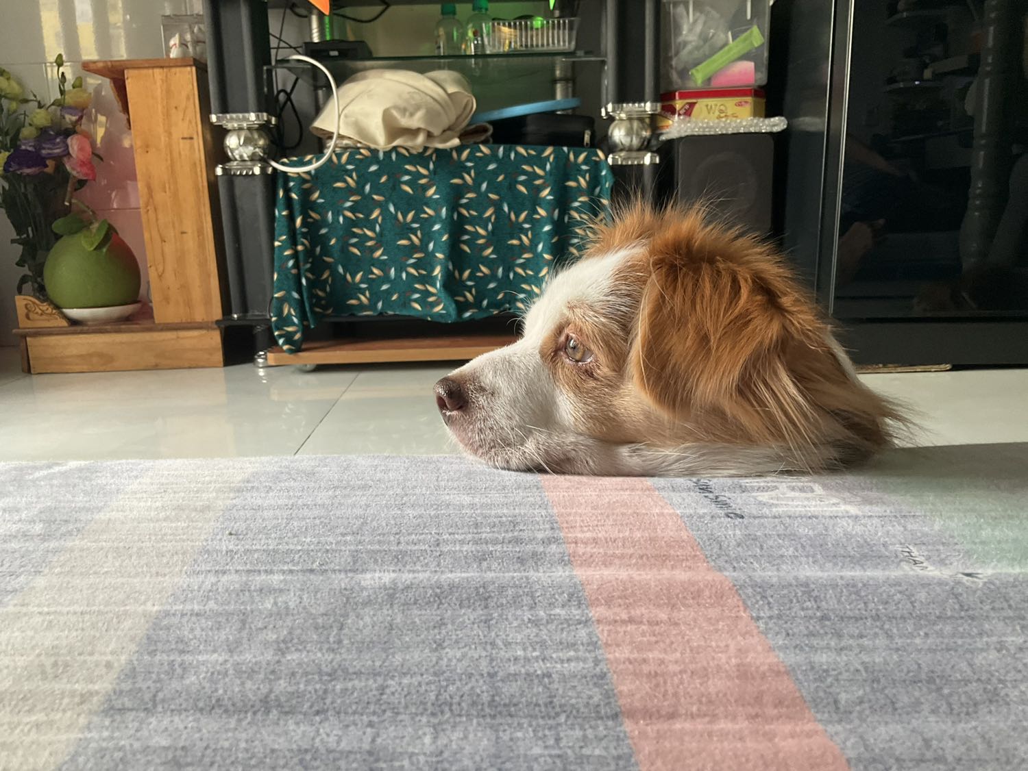 Chất lượng tốt