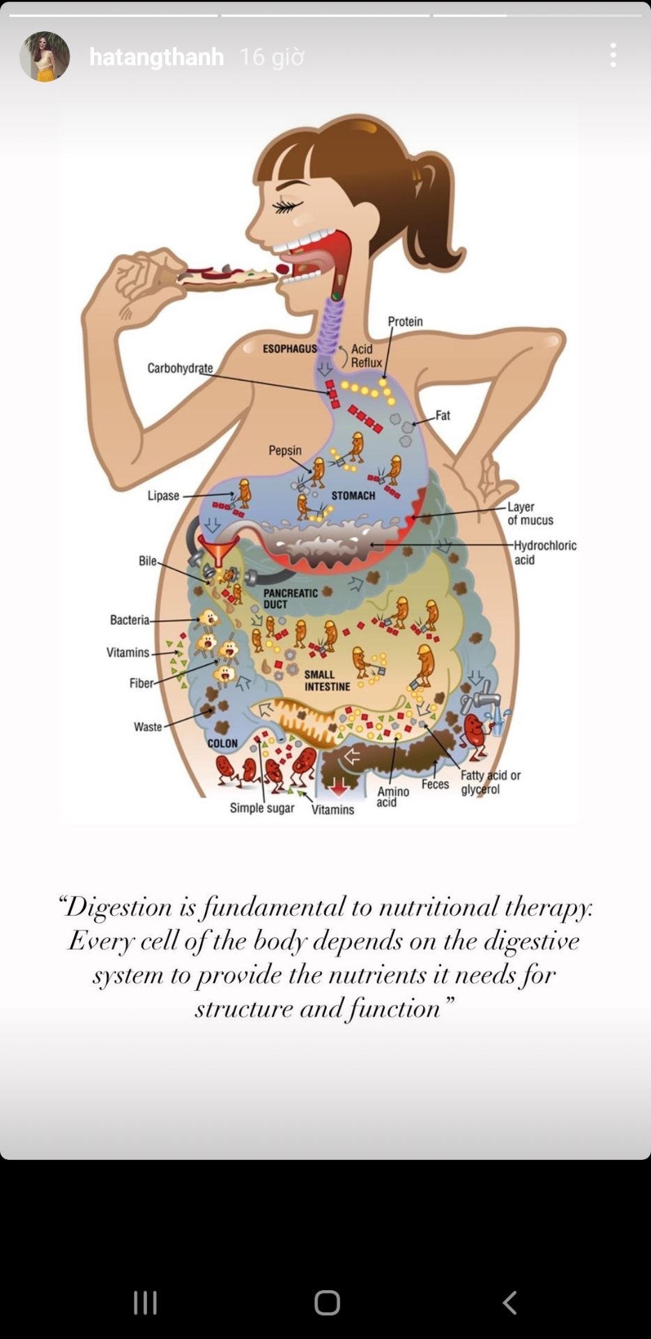 sữa tắm thơm nhẹ, mềm mại. 2 đứa nhà mình đều sd sp này nhưng cái là chai này nhỏ nên k có vòi. mỗi lần lấy sữa tắm bóp 1c nó phụt ra 1 đống. nên toàn phải chiết ra chai nào kiewmr soát đc liojwng sữa. khuyên nên mua chai lwosn