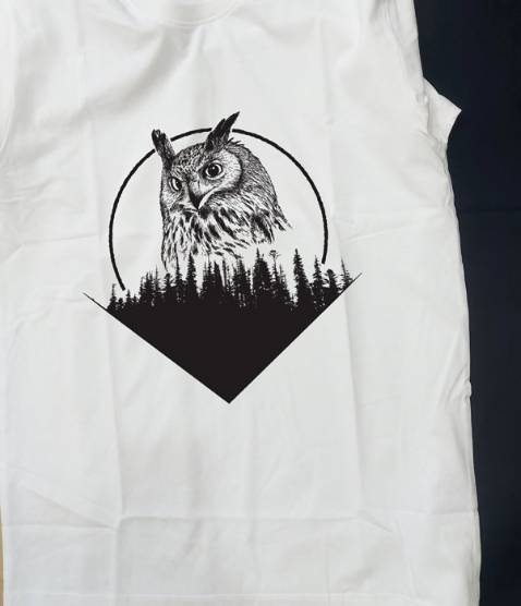 hình in đơn giản mà đẹp, áo ổn, đóng gói kỹ càng, tuy nhiên áo đợt này hơi nhăn, góp ý riêng cùng shop.