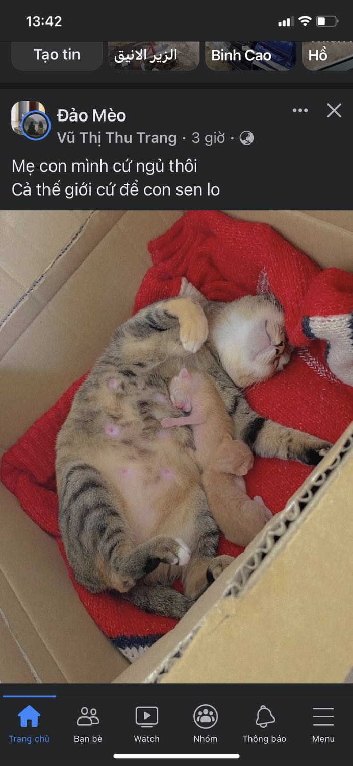 Sp ok, mn nên dùng cho boss, rẻ mà chất lượng