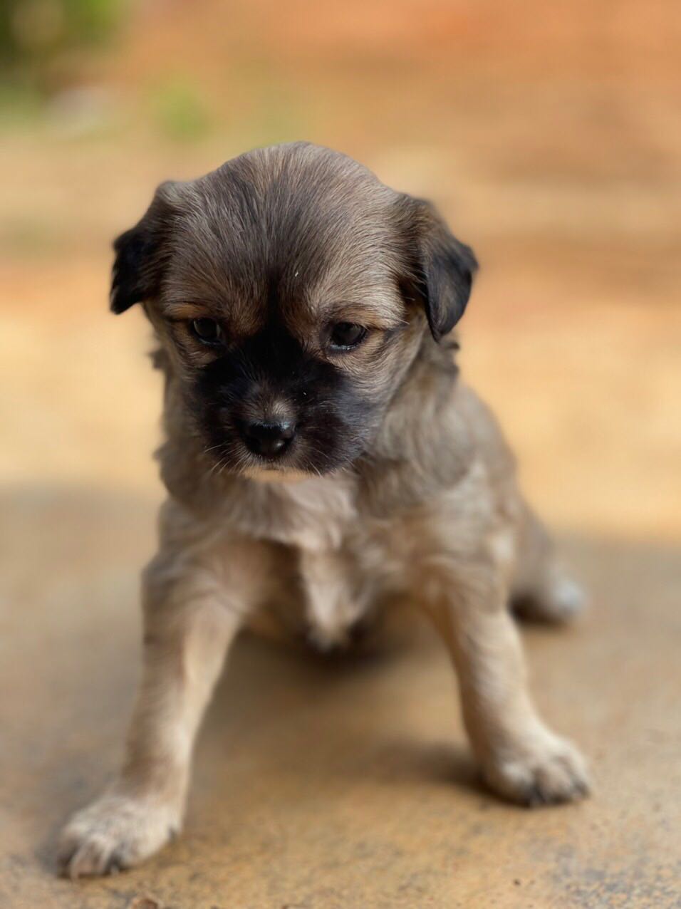 Hàng chats lượng Hàng chats lượng