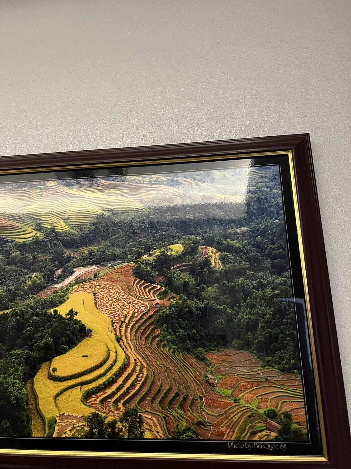 Sản phẩm giá tốt, màu sắc đẹp