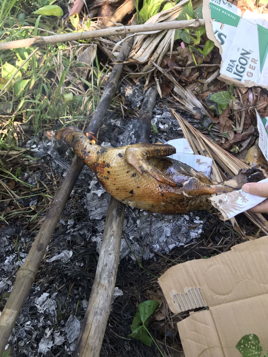 Ảnh chi mang tính minh hoa Ảnh chi mang tính minh hoa