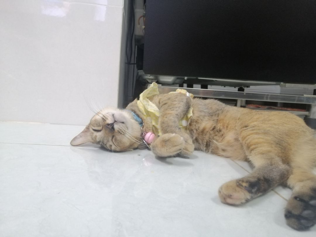 Giao siêu nhanh, mới đặt tối hôm trước hôm sau có rồi. Tủ dễ lắp ráp, chắc tay. Sẽ ủng hộ shop tiếp