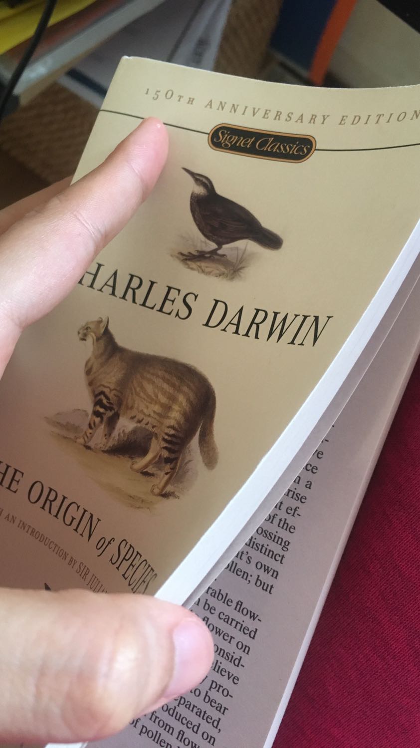 Sách có 1 vết băng keo và vết gập nhỏ (hơi tiếc 1 chút) còn lại thì rất ổn