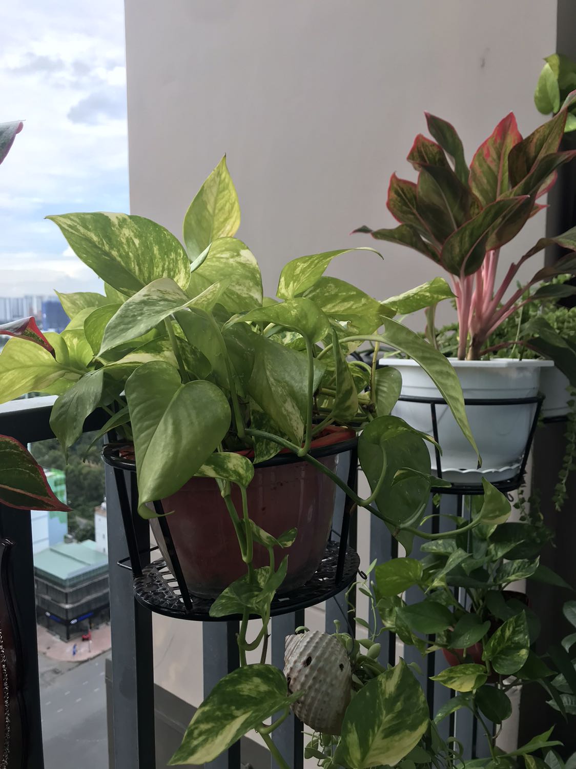 Sản phẩm đúng như mô tả, đóng gói cẩn thận, do thanh lang cang hơi dày nên mình phải bẻ móc ngx của giỏ ra chút thì mới vừa