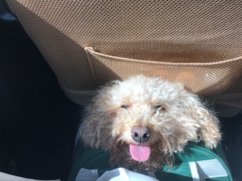 Hàng tốt chính hãng. Dùng hiệu quả trong. Giao hàng nhanh. Đóng gói đẹp. Nhân viên tư vấn nhiệt tình. Uống hết sẽ xem ntn mua tiếp hihi Hàng tốt chính hãng. Dùng hiệu quả trong. Giao hàng nhanh. Đóng gói đẹp. Nhân viên tư vấn nhiệt tình. Uống hết sẽ xem ntn mua tiếp hihi