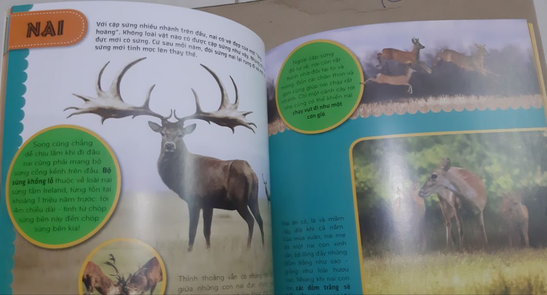 tiki giao sách nhanh, đóng gói cẩn thận, giảm còn 28 ngàn. sách in đẹp nội dung đa dạng về các động vật hoang dã.