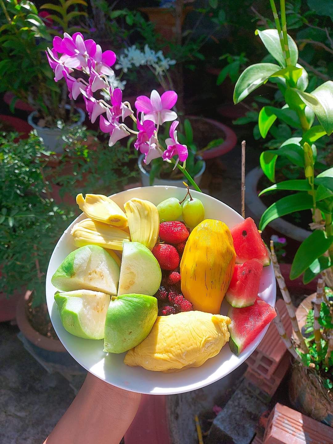 Chưa xài chưa biết, nhìn có vẻ ổn hii. Nhưng thích giấy vàng hiwn. Mà hôm mua sơ ý Chưa xài chưa biết, nhìn có vẻ ổn hii. Nhưng thích giấy vàng hiwn. Mà hôm mua sơ ý