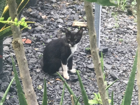 Sát với chương trình chân trời sáng tạo, có nhiều dạng đề, cần thiết cho học sinh học thêm vì sách giáo khoa quá sơ sài không thể học tốt được, giá mà lấy sách này làm sách giáo khoa luôn thì tốt