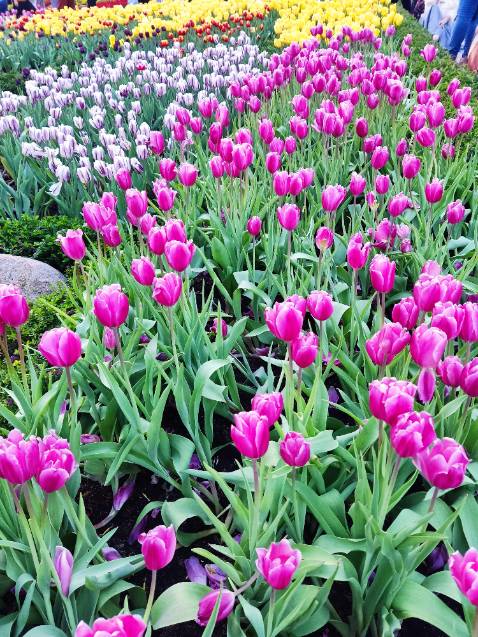 Giao rất nhanh luôn, chưa đc 2h tiki đã alo nhận hàng.sản phẩm đúng hàng chính hãng, nhãn mác đầy đủ