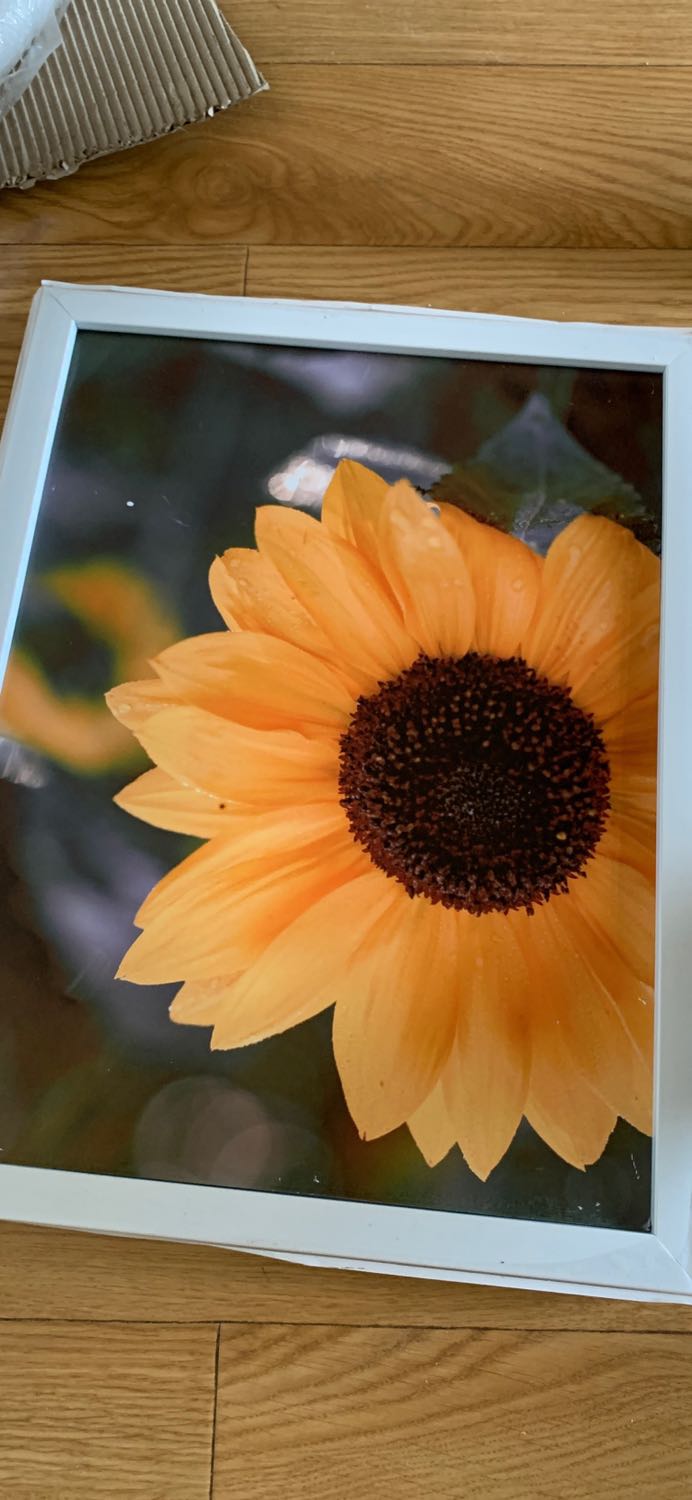 Khung ảnh to nhất thiếu tấm kính. Hàng đóng gói cẩn thận nhưng thiếu tấm kính của bức to nhất. Đề nghị bổ sung để sử dụng