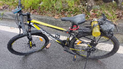 Xe thì oke trong tầm giá, nói chung không đòi hỏi nhiều. 
Được cái bên bán support khá nhiệt tình nên oke. 
Tại mình bơm căng quá nên nổ lốp trước mất toi. 
Nếu để xét trong tầm giá thì oke, đáng tiền. Còn nếu muốn chơi thật thì nên nâng cấp lên tầm 6tr.