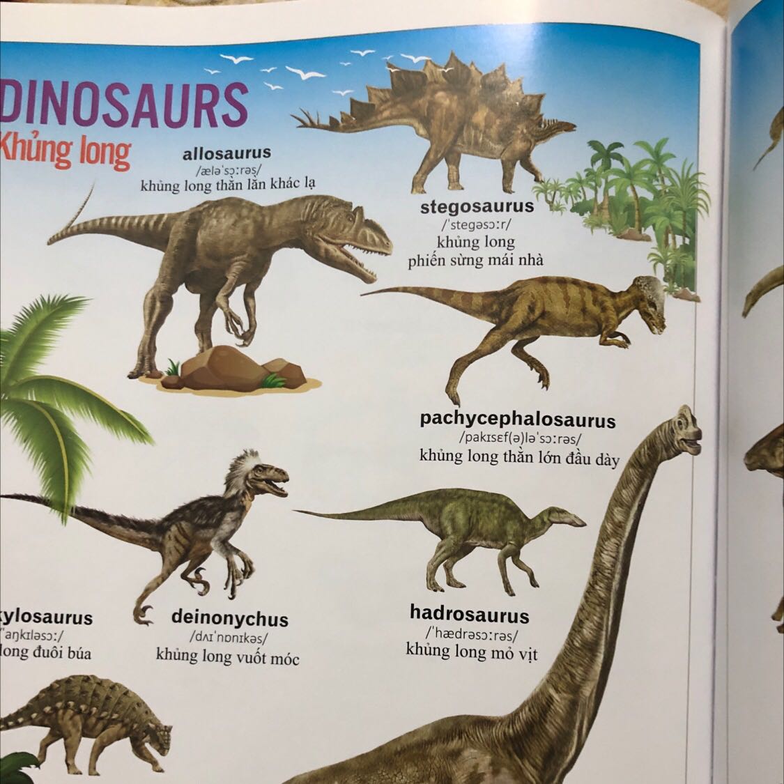 Sách đẹp
Nội dung chia từng phần hợp lý
Bé rất thích