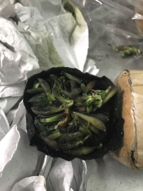 Hàng giao đến tay bị úng, bủng. Đề nghị đổi trả