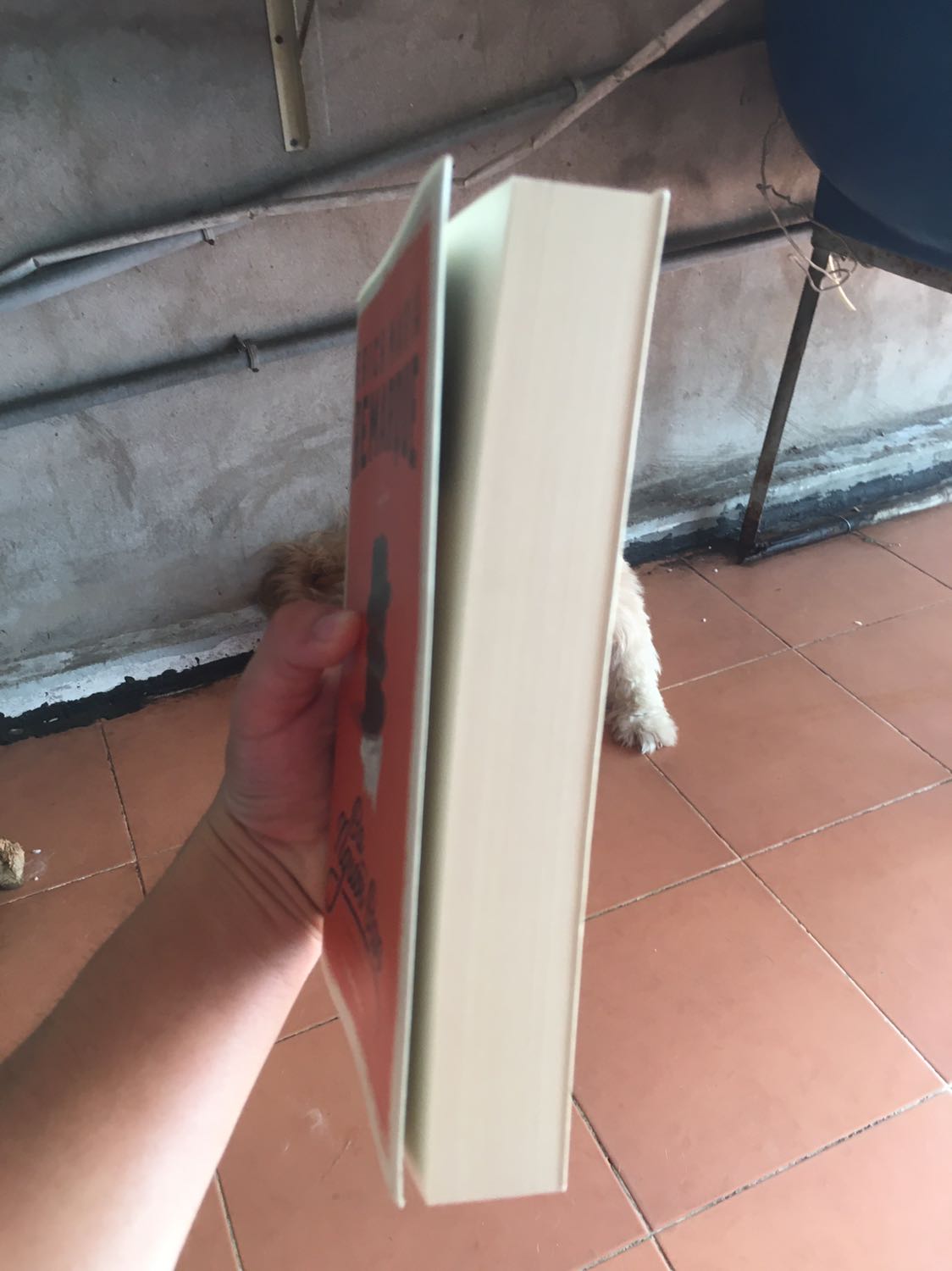 Lúc trước mình có nghe qua tên Remarque qua cuốn tiểu thuyết Phái Tây không có gì lạ và Thấy tác giả này xuất hiện khá nhiều nên mình cũng tò mò tìm đọc thử không ngờ qua một vài trang mình khá thích lối viết của tác giả nên quyết định mua một số cuốn để đọc.

Nhận xét về sản phẩm
Ưu điểm: sách khá dày nhưng lại giá lại phải chăng, bên ngoài có lớp áo để bảo vệ sách bên trong
Khuyết điểm: chất liệu giấy sách hơi thô ráp - nhưng không thể đồ hổ nhiều khi năm xuất bản là 2015

Kết luận: Dù sao đi nữa mình rất ưng ý về sản phẩm lần này