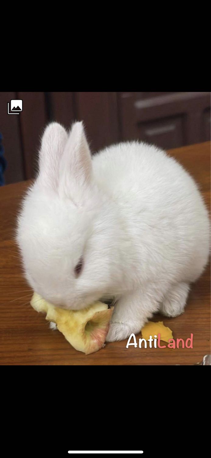 Giao hàng nhanh, hiệu quả chờ thời gian chứng minh, để 5 sao trước