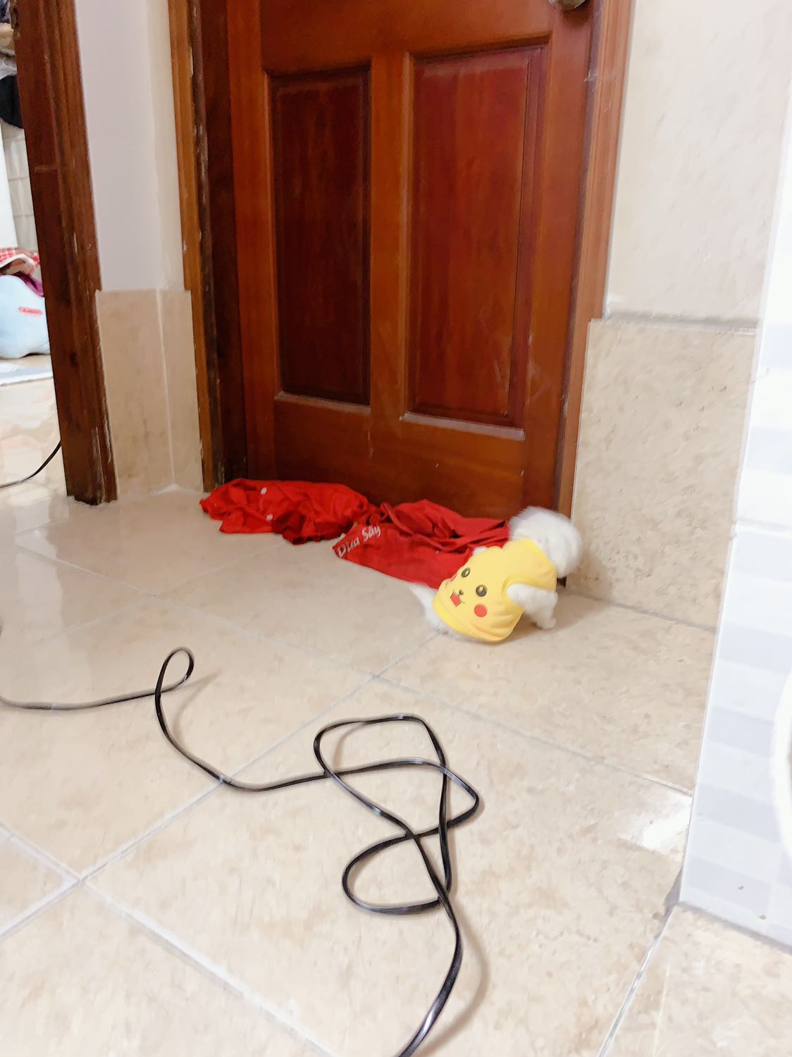 Ship nhanh lắm nè