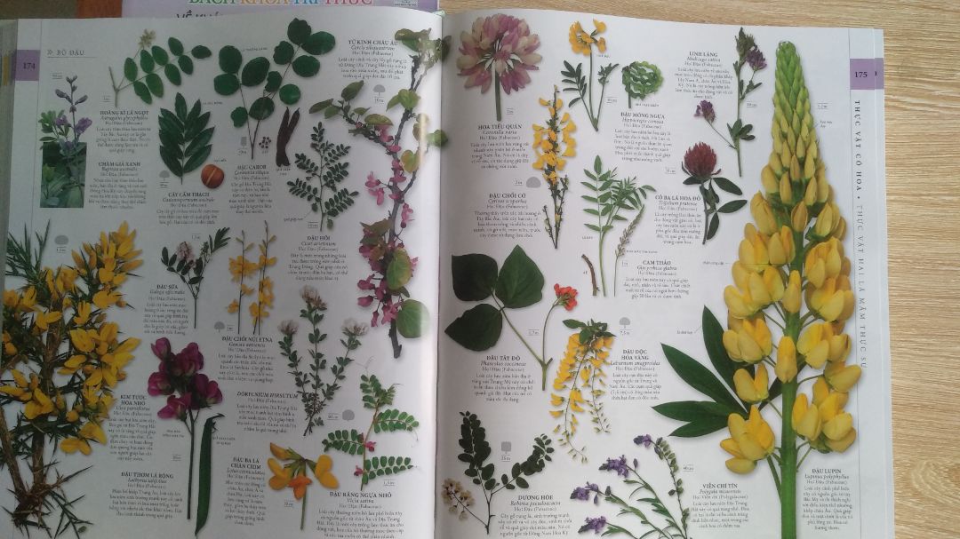 Đây là cuốn sách tuyệt vời. có nhiều thông tin bổ ích, viết khoa học. nhưng theo mình không nên để từ "Lịch sử" vì nó mang tính nêu ra, thống kê, đưa thông tin không phải chương nào cũng theo dòng thời gian. mình thấy nó giống Đại Cương về tự nhiên hơn là lịch sử tự nhiên.