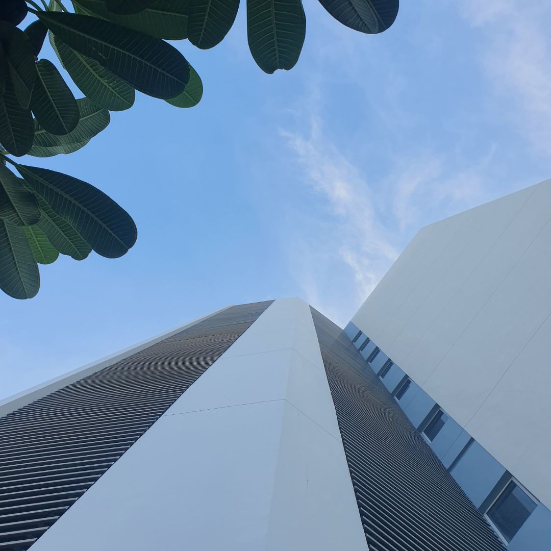 Đánh giá 5 sao là được rồi, bắt chụp hình nữa. Mệt...🤣🤣🤣