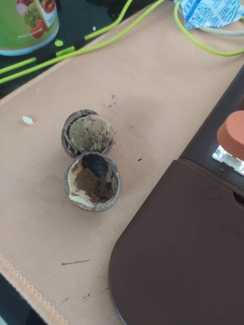 Mua hạt dẻ bị ỉu xong chuyển qua ăn hạt mắc ca thì gặp quả mốc xì trong lọ, ko biết có ảnh hưởng đến các hạt khác trong lọ ko? Ăn cũng thấy lo 😬