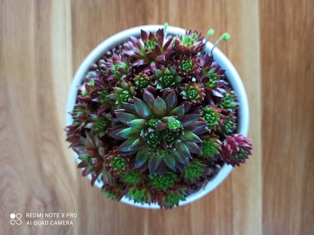 Shop đóng gói cẩn thận,giao hàng nhanh,lắp ghép 1 lát là ok rồi. Độ bền thì cần thời gian để đánh giá.Thanks shop!