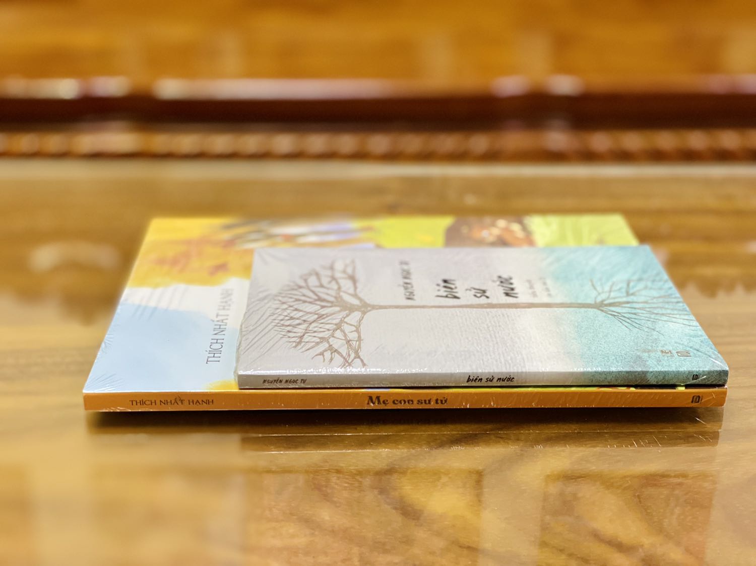 + Nhà bán giao hàng nhanh như một cơn gió. Mình săn sale trưa 11/11 mà hôm sau đã nhận được sách. Đơn 2 quyển đóng gói ổn, sách được bọc màng co, nguyên vẹn, không bị hư hại gì. 
+ Sách bìa cứng, khổ to, có áo bìa; in màu toàn bộ trên giấy bóng, chất lượng giấy tốt, dày dặn, hình minh họa sinh động. Câu chuyện về mẹ con sư tử phù hợp để kể cho các em nhỏ nghe vào mỗi tối trước khi đi ngủ.