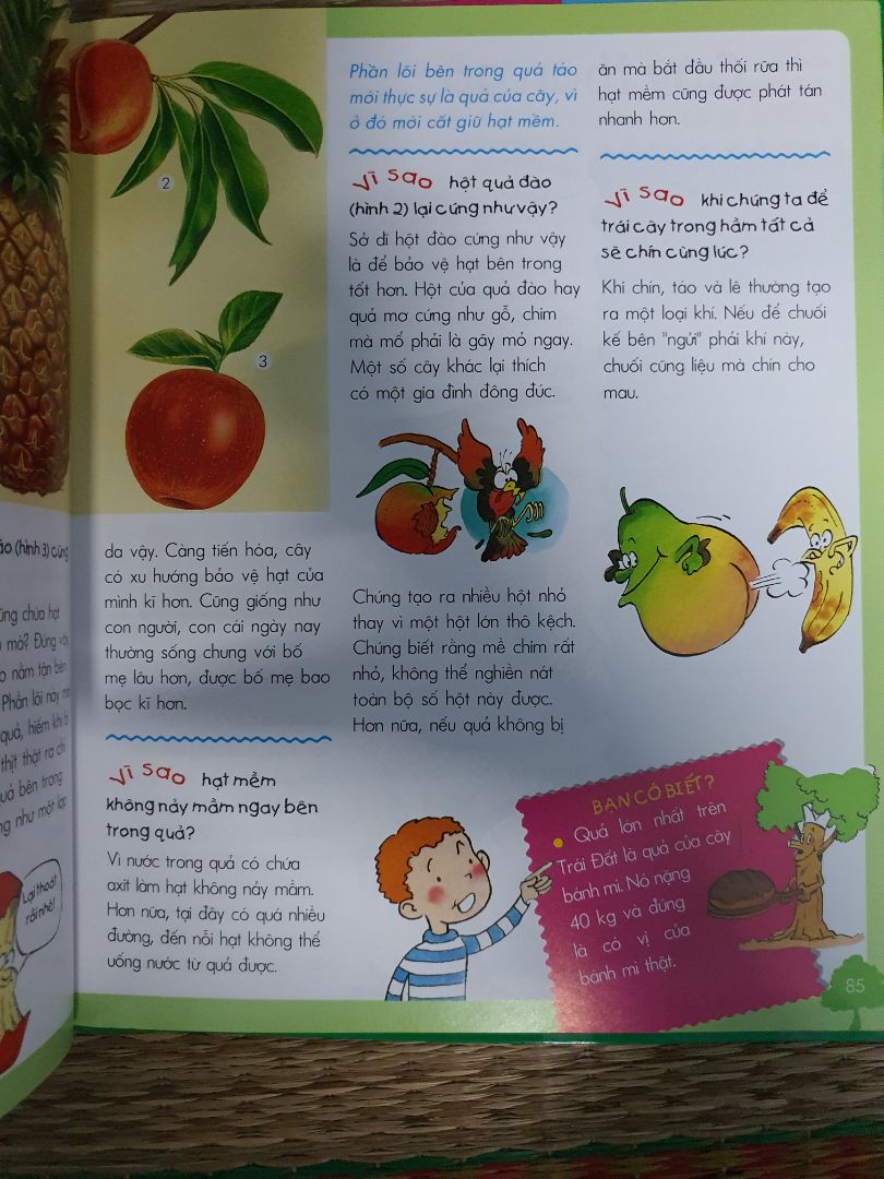 - Sách hay, bổ ích, cung cấp kiến thức đa dạng cho trẻ em và người lớn. 
- Sách bìa cứng vừa, giấy in màu bóng, gáy sách chắn chắn. 
- Tiki giao hàng nhanh, sách còn mới.