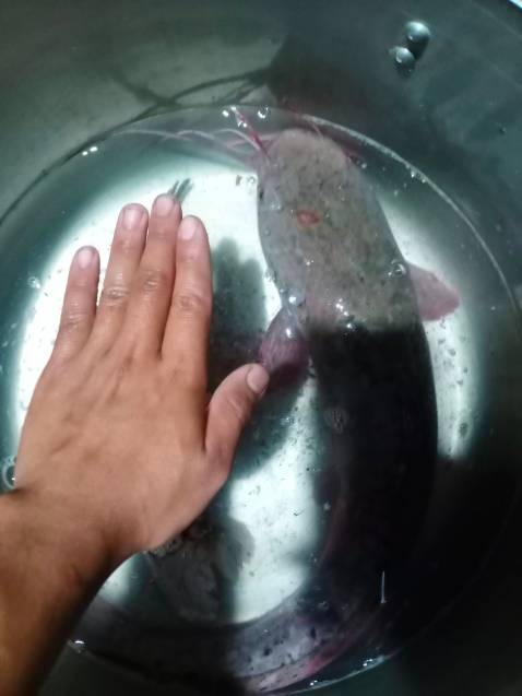 Hàng đẹp giao nhanh đóng hàng cẩn thận. Còn chất lượng phải *** qua mới biết