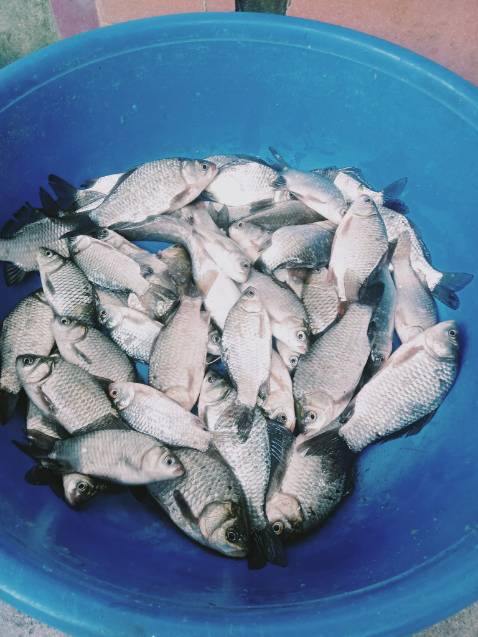 Giao hàng hơi lâu. Sản phẩm ok so với mức giá. Giao hàng hơi lâu. Sản phẩm ok so với mức giá.