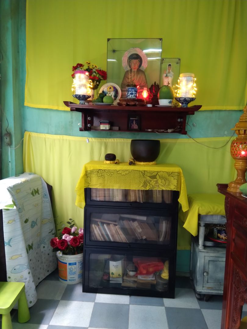 cây đẹp lắm, tươi tắn , rất hài lòng. cám ơn shop , chúc may mắn và phát tài nhiều