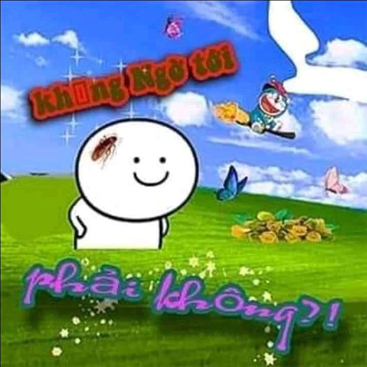 Ngon bổ rẻ, hàng VN chất lượng cao
*Hình ảnh mang tính chất cho có