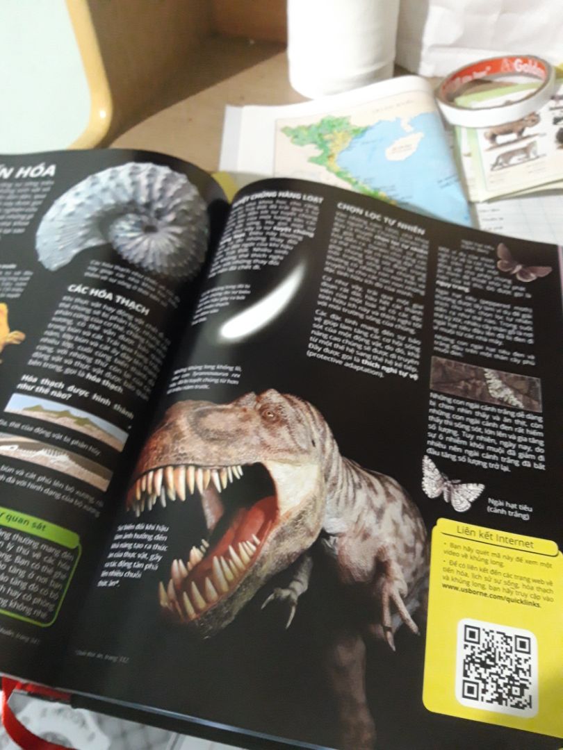 ưu điểm: tranh ảnh minh họa rất đẹp luôn, anh shipper rất dễ thương lúc ship dù lúc ship hàng trời mưa rất to, ship hàng nhanh hơn dự kiến tận 1 ngày luôn đó, mình mua với giá hời  (262k thôi)
nhược điểm: đóng gói ko đc kĩ càng cho lắm, chỉ có mỗi hộp bên ngoài làm sách của mình bị móp hết trơn huhu :(( góp ý chút là lần sau nên bọc thêm lớp chống sốc 
nếu cho điểm thì mình sẽ cho 9.9/10