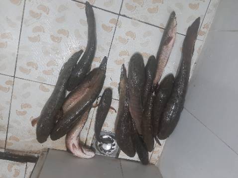 Sản phẩm tốt chắc chắn chất lượng