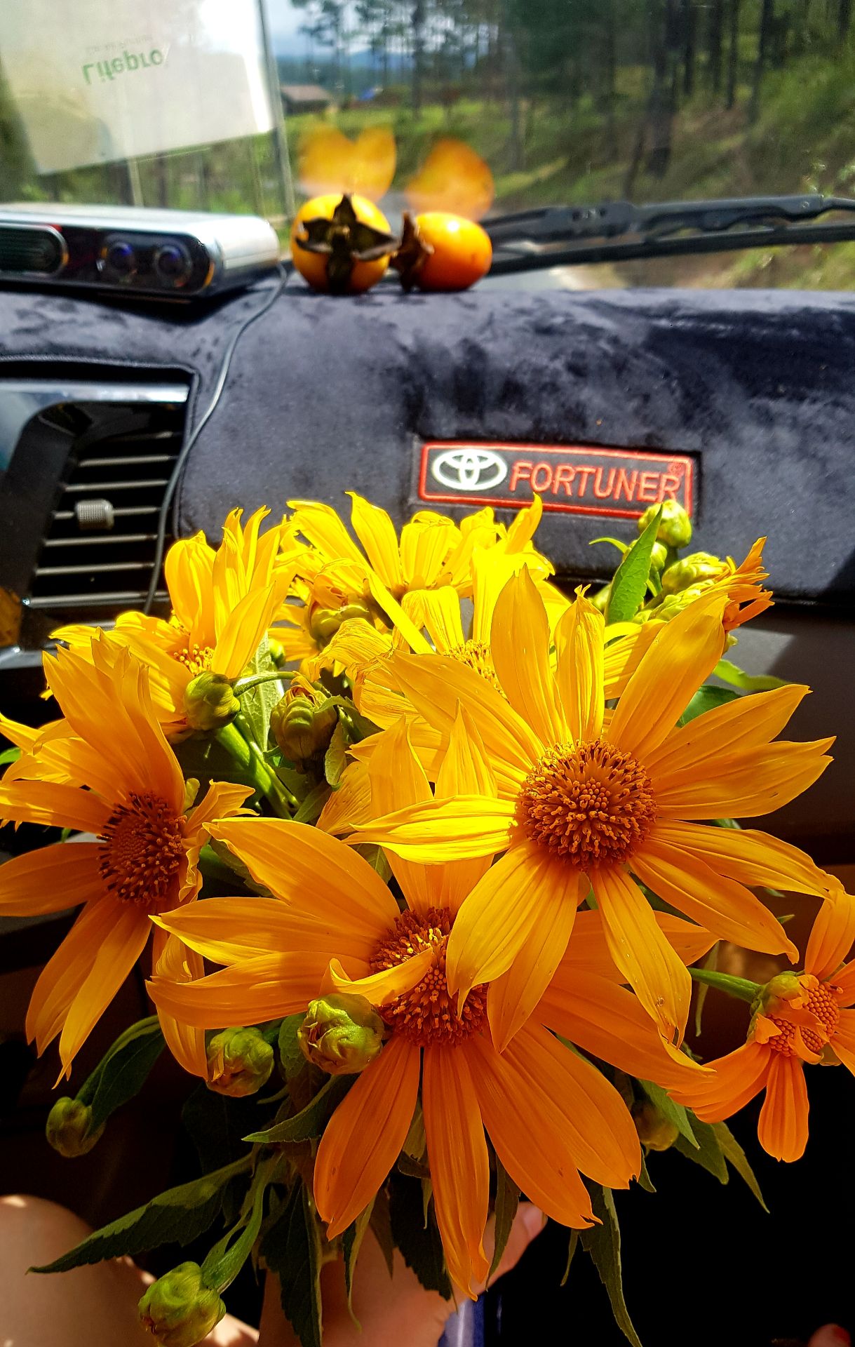 mua lần 2 rồi. cắm hoa 7 ngày vẫn còn tươi!