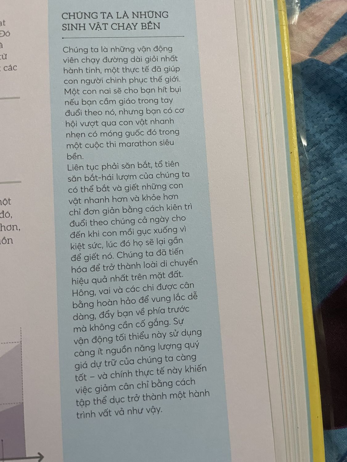 Chữ in không đậm nên khó đọc, giấy màu đẹp nên chữ nhạt so vs giấy màu