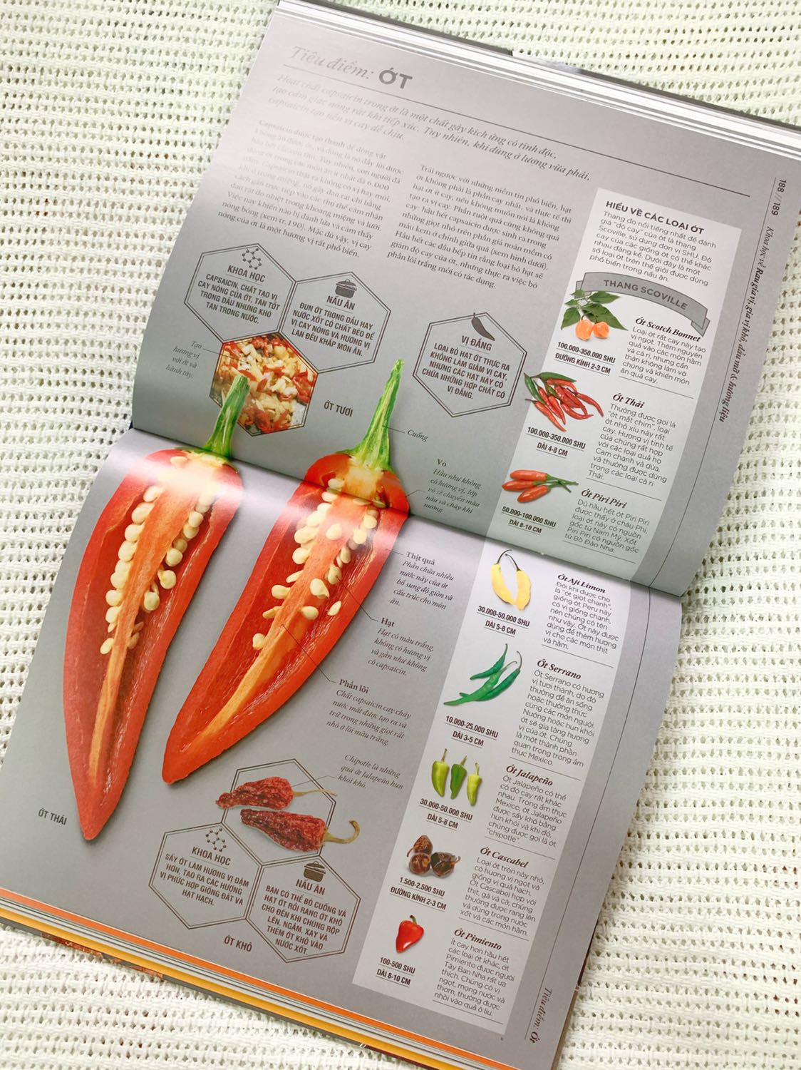 Một quyển bách khoa về các nguyên liệu trong ẩm thực. Sách thiên về giới thiệu công dụng của các dụng cụ nhà bếp, giải thích các thành phần dinh dưỡng trong thực phẩm và quá trình biến đổi chất khi nấu ăn, từ đó hướng dẫn bạn đọc cách chế biến món ăn sao cho thơm ngon mà vẫn giữ được độ dinh dưỡng nhất định.
Sách cầm nặng tay, in màu toàn bộ, chất lượng giấy in tốt và màu sắc sinh động. Một quyển bách khoa về các nguyên liệu trong ẩm thực. Sách thiên về giới thiệu công dụng của các dụng cụ nhà bếp, giải thích các thành phần dinh dưỡng trong thực phẩm và quá trình biến đổi chất khi nấu ăn, từ đó hướng dẫn bạn đọc cách chế biến món ăn sao cho thơm ngon mà vẫn giữ được độ dinh dưỡng nhất định.
Sách cầm nặng tay, in màu toàn bộ, chất lượng giấy in tốt và màu sắc sinh động.