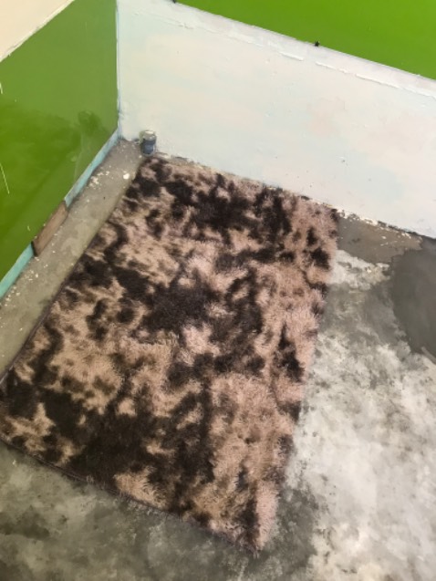 Bán hàng không trung thực !!!!! 1,6m x 2m mà thế này hả ???!!!