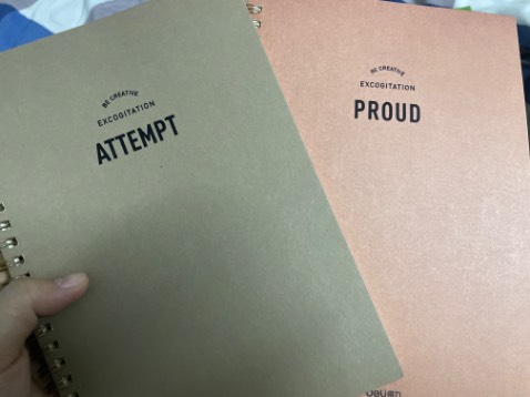 Sổ đẹp, giấy ổn, ko quá dày nhưng cũng ko quá mỏng, mua đợt giảm giá nên thấy rất xứng đáng