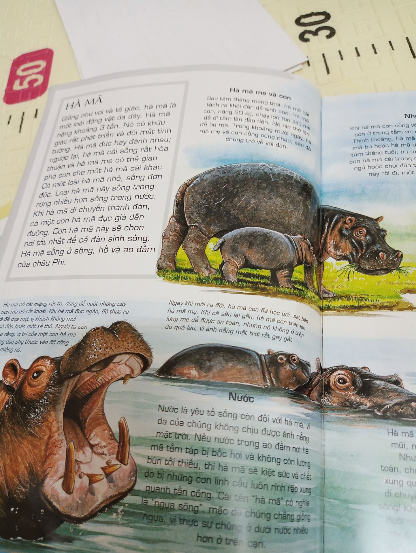 Sách rất thú vị.