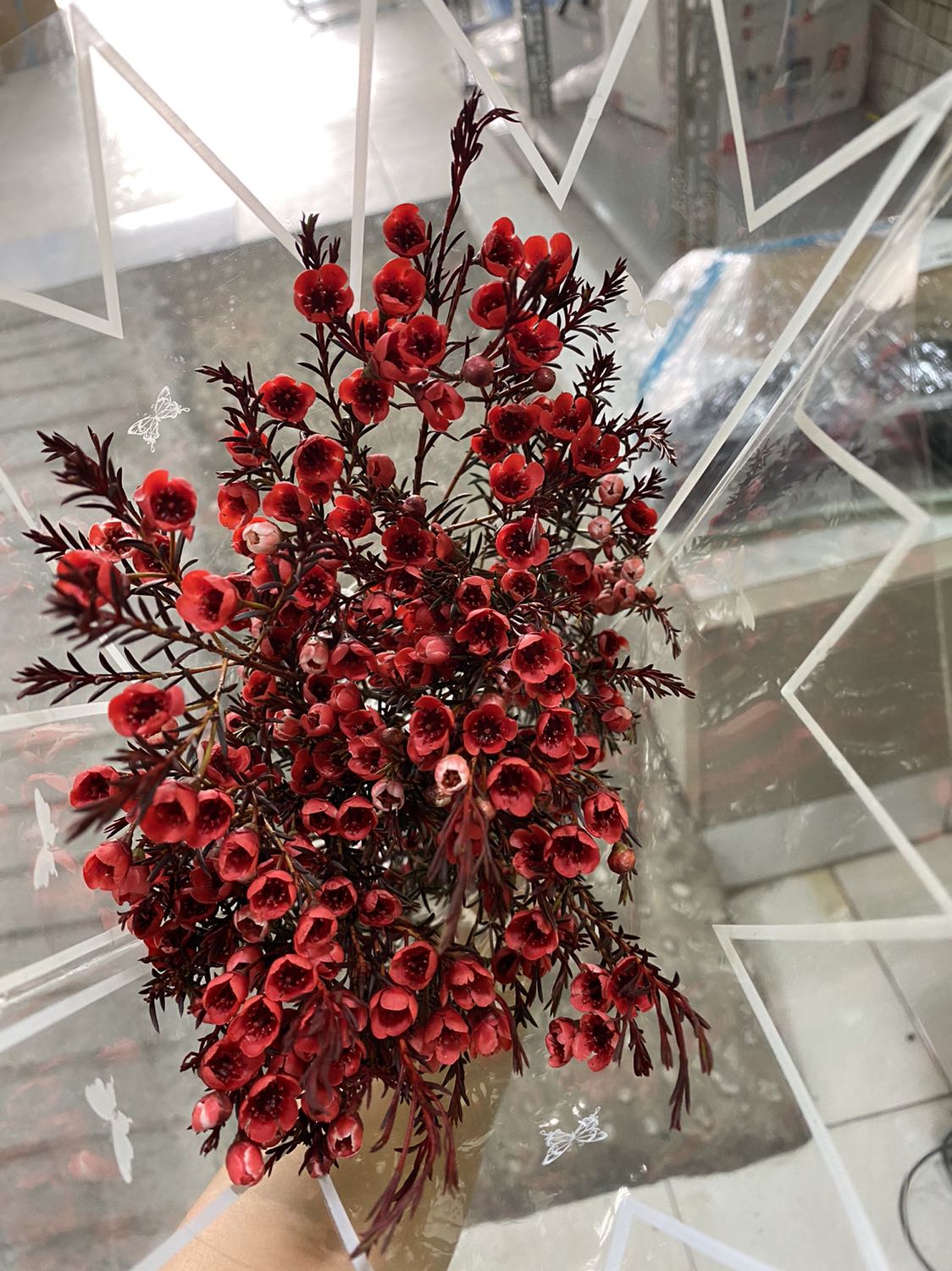 giao hàng hơi chậm xíu