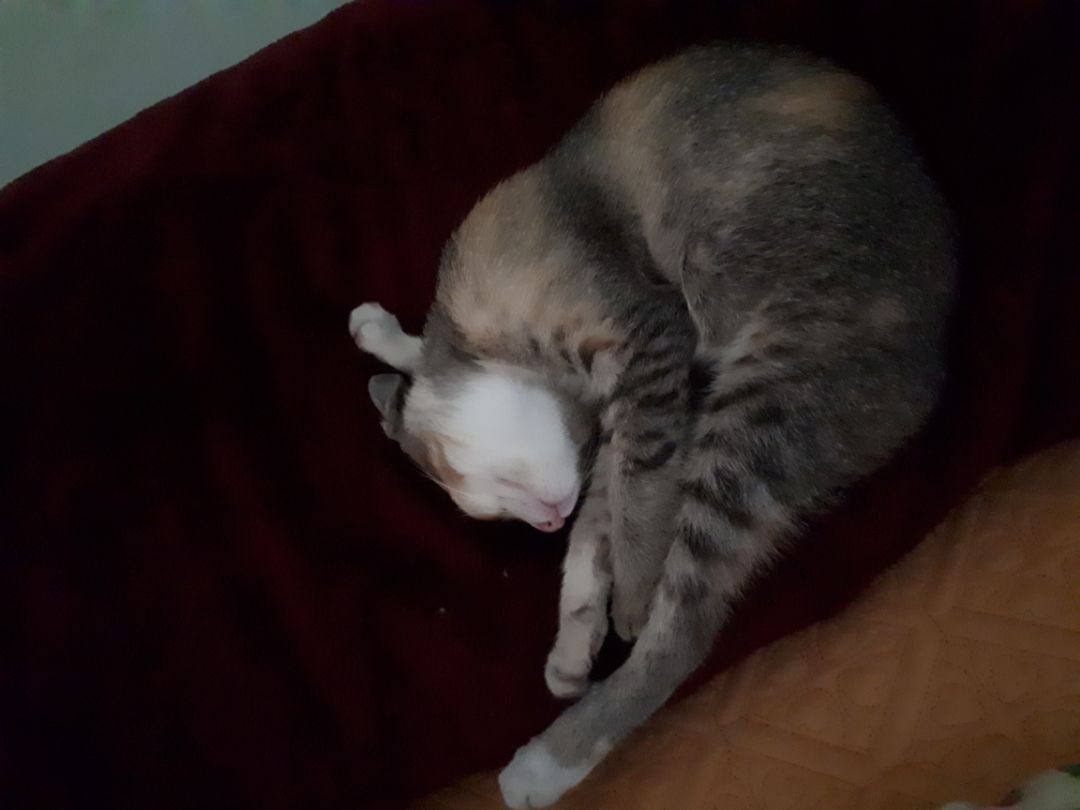 sản phẩm chất lượng, giao hàng khá nhanh sản phẩm chất lượng, giao hàng khá nhanh