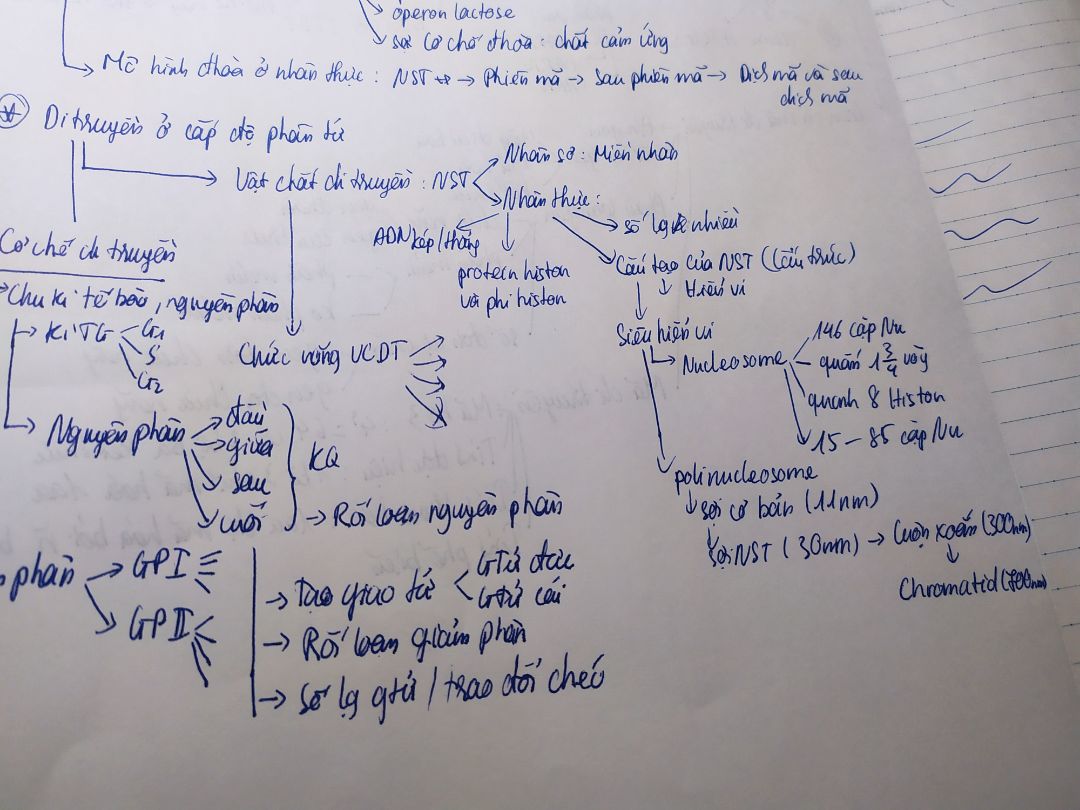 Bút trơn, mực đẹp, nhanh khô. Mk mua thử 4 loại thì có 3 loại hợp với mk, cái còn lại thì nét hơi to.
Viết vở campus thì có bị in sang trang sau, nếu viết đứng bút lên thì mực sẽ ra ít hơn, cải thiện đc 1 phần. Còn nếu đc các bạn viết trên giấy 70gsm nó dày hơn đỡ bị lem