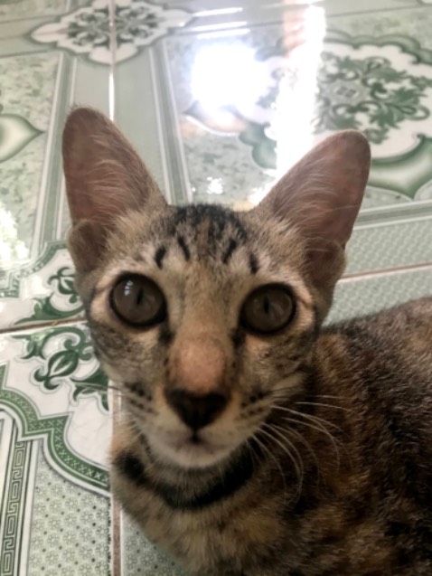 Rất hay nhé các bạn, quyển 2 này thậm chí còn hay hơn quyển 1 nữa