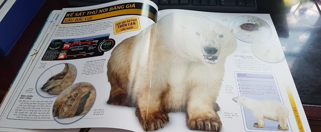 Sách rất hay, hình ảnh to, đẹp, rất phù hợp với các em nhỏ có sở thích tìm hiểu về động vật.
Các phụ huynh nên sưu tập những cuốn sách như thế này để bổ sung kiến thức cho con.