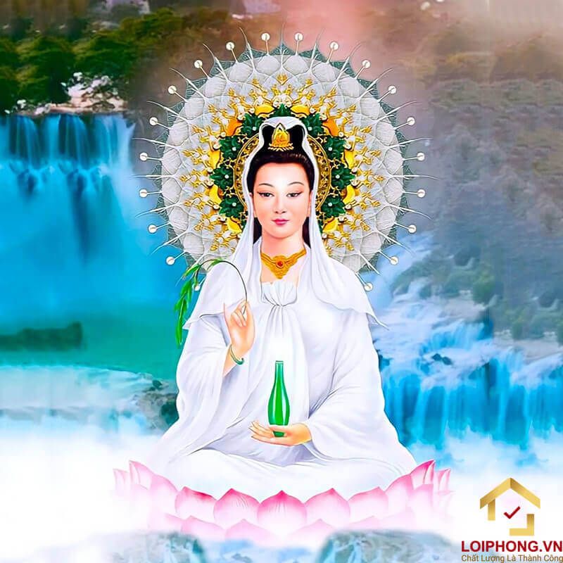 hàg chất lượng